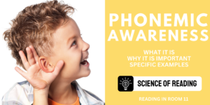 What is Phonemic Awareness? A Comprehensive Guide with Examples